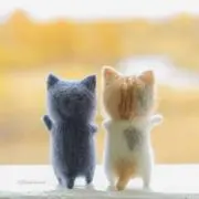 ねここ