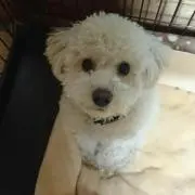 ユカ