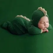 ににの画像