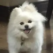 miの画像