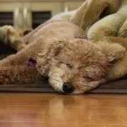おん