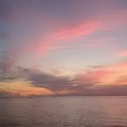断捨離中☆えこたの画像
