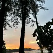 との画像