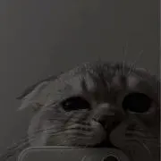 たかの画像