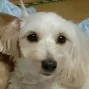 ゆずまる
