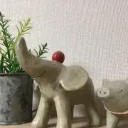 blue cherryの画像
