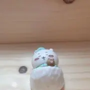 りさの画像