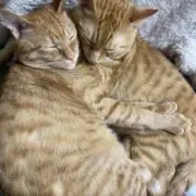 ♡