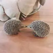 rincomの画像