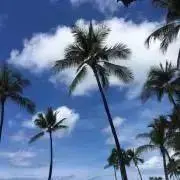 chocoB※プロフ必読の画像