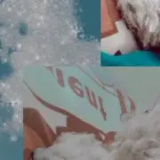 安いの画像