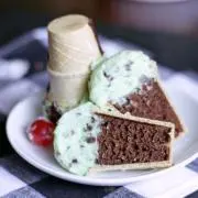 チョコミントの画像