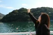 ハル☆