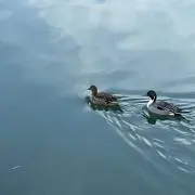 ストロベリーママの画像