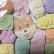 スズナの画像