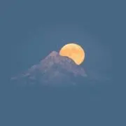 Mの画像