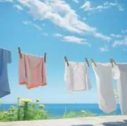 おしゃれ着洗剤の画像
