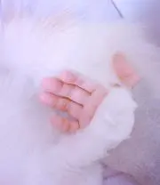 y_chaaan❤︎
