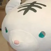 もちこの画像