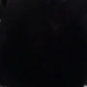 りりの画像
