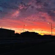 バナナの画像