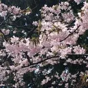 アルカリ性