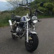 シロクマさんの画像