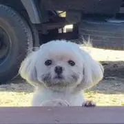 ゆんの画像