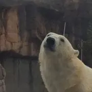 そら