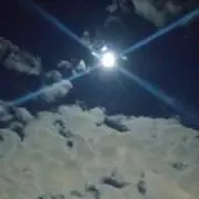 ピーチの画像