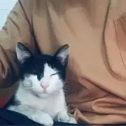 メＫｉｒｉｎ永の画像