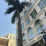 AR☆の画像