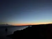 エガオの画像