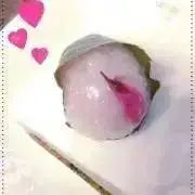 レサの画像
