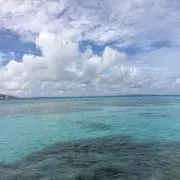 aaa