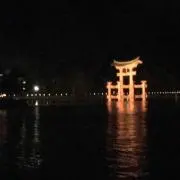も