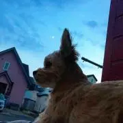 雄一郎