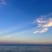 みょたん