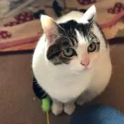 まいの画像