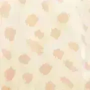 nanの画像