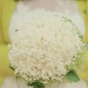 ちひろ◆平日は発送できませんの画像