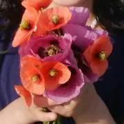 す
