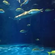 なな色☆セドナ