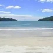 みゃあちゃん