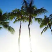 SandyCoの画像