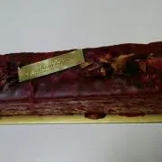 タカの画像