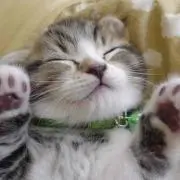 まさ