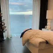 aloaloの画像