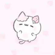 5の画像