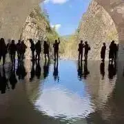 パティの画像